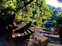 -杨家堂村