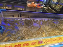 -锅儿欢海鲜火锅烤肉自助餐(东港凯虹店)