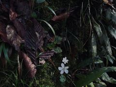 -龙苍沟森林公园