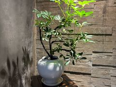 -汤家茗苑·精致私房菜(白沙店)