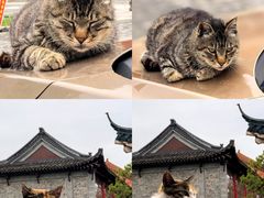 -高旻寺