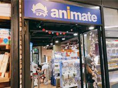 -Animate(工人体育场东路店)