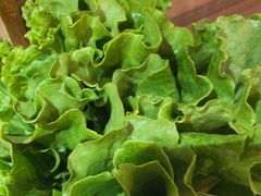 -颐辰舍岁岁羊(文昌万达景园店)