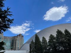 -二十一世纪饭店-游泳馆