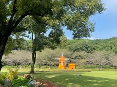 -苏州上方山国家森林公园