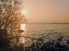 -宝安西湾红树林湿地公园