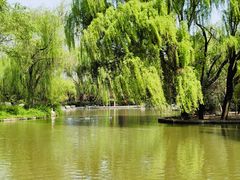 -洛阳市隋唐城遗址植物园