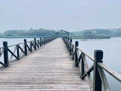 -溱湖国家湿地公园