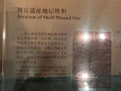 -烟台市博物馆