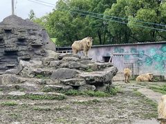 -宁波野生动物园