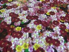 景点-天府芙蓉园