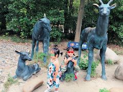 -溱湖国家湿地公园