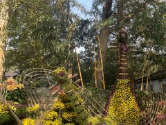 -杭州植物园