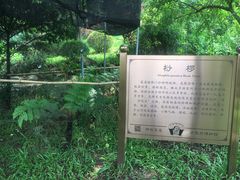 -广州神农草堂中医药博物馆