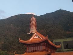 -深圳仙湖植物园