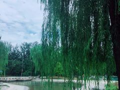 -柳浪游泳场
