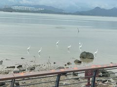 -深圳湾公园(南山区)