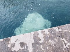 -南长河公园