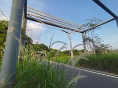 -光明小镇欢乐田园