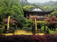 -十八棵（老龙井）御茶园(老龙井店)