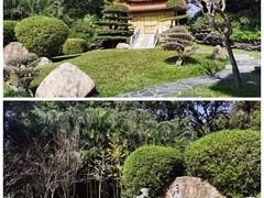 -深圳国际园林花卉博览园