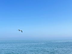 -海合安青岛极地海洋公园