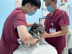 -纳吉亚猫专科动物医院博雅分院