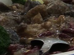 -顺德佬(石厦店)