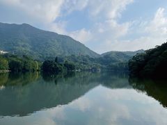 -深圳仙湖植物园