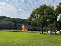 -苏州上方山国家森林公园