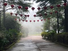 -四明山国家森林公园