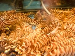 -海九澎湖海鲜餐厅