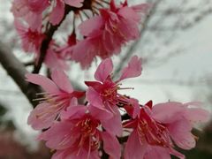 -广东大峡谷