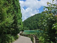 -武陵山森林公园