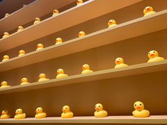 -RU DUCK柯尔鸭公社·撸鸭俱乐部·羊驼·小香猪