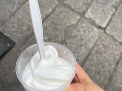 -洪馨椰子