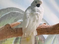 -石家庄市动物园