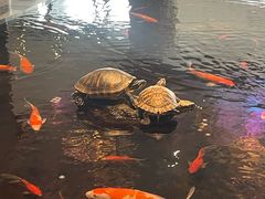 -大和洗浴休闲会所(宏大广场店)