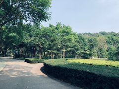 -云溪植物园