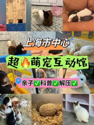 点击看大图 -神奇动物撸宠馆·羊驼·小浣熊·异宠(豫园店)