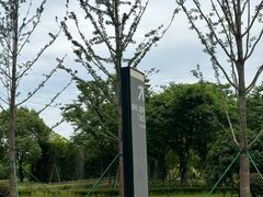-徐泾东地铁站会展中心-地面停车场