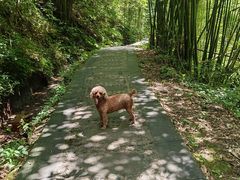 -华蓥山天意谷景区