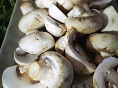 -铜元老码头鳝鱼火锅