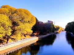 -大望京公园