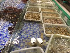 -森谷美食公园(杨行店)