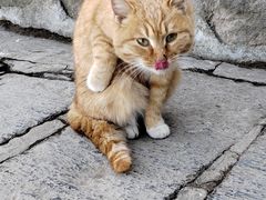 -终南山南五台景区