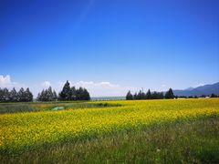 -扁都口生态休闲旅游区