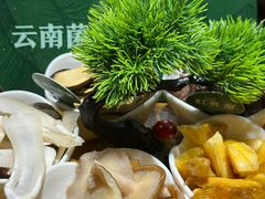 -一善菌·云南菌汤·云南菜(银泰城店)