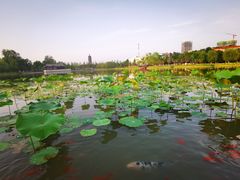 -西海子公园
