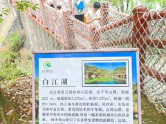 -广州白江湖森林公园